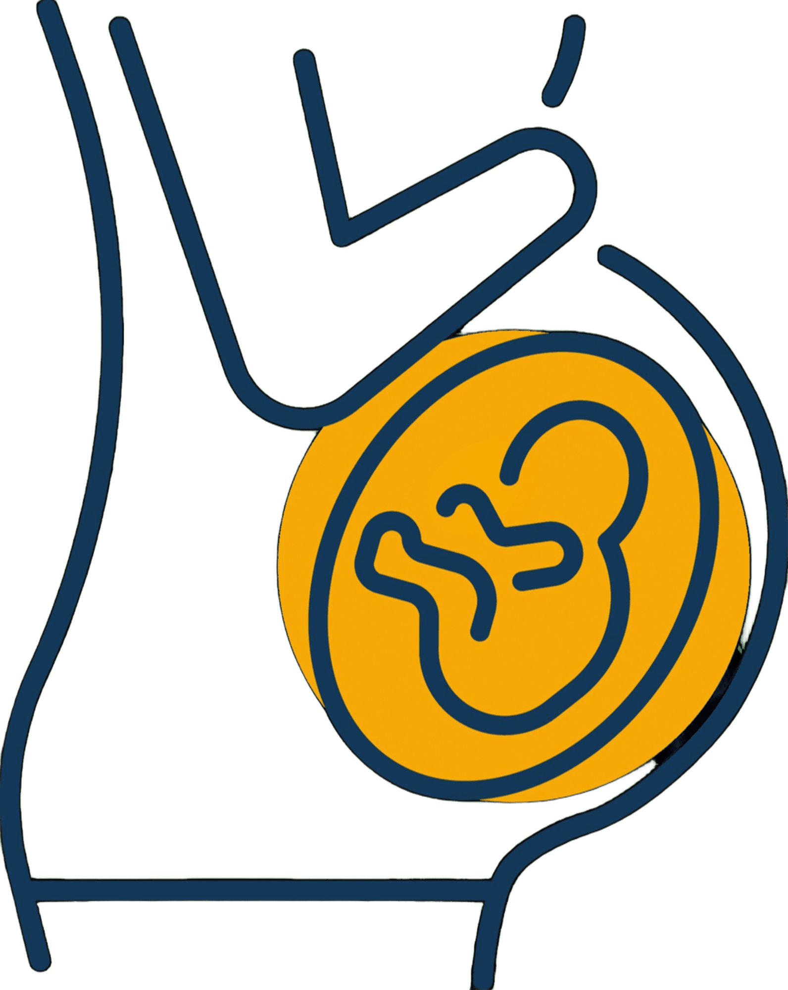 Gravid<sup>4-6</sup>